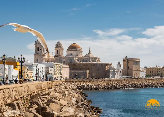Delfin Azul 2 Free Parking By Cadiz Time